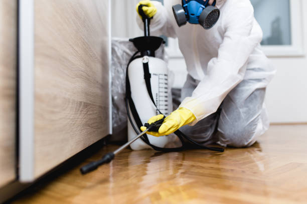 Best Wildlife Control Services  in Annandale, MN