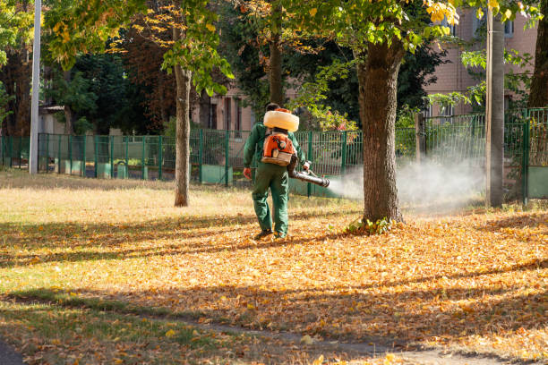 Reliable Annandale, MN Pest Control Solutions